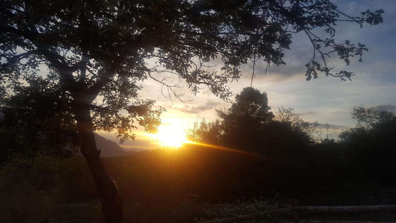 Casa Din Piatra Otel Poiana  Dış mekan fotoğraf