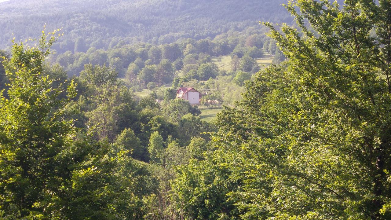 Casa Din Piatra Otel Poiana  Dış mekan fotoğraf