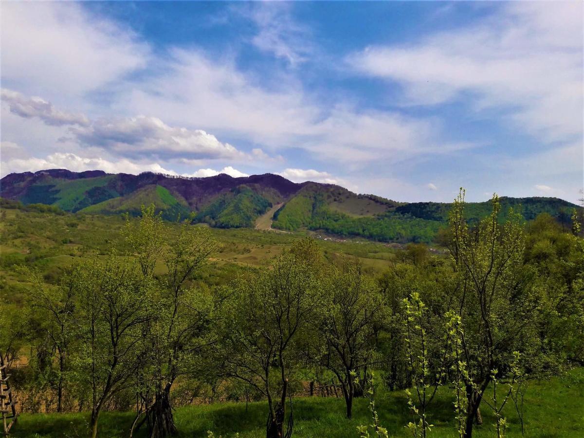 Casa Din Piatra Otel Poiana  Dış mekan fotoğraf