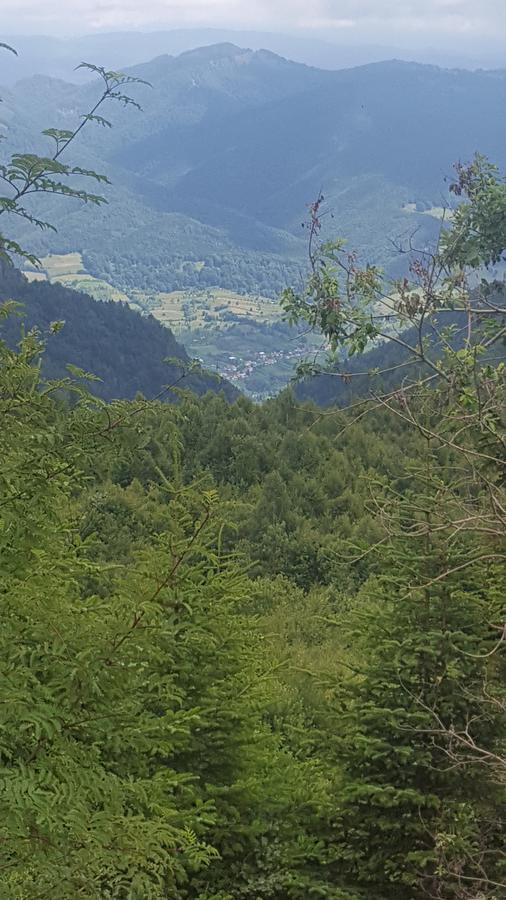 Casa Din Piatra Otel Poiana  Dış mekan fotoğraf