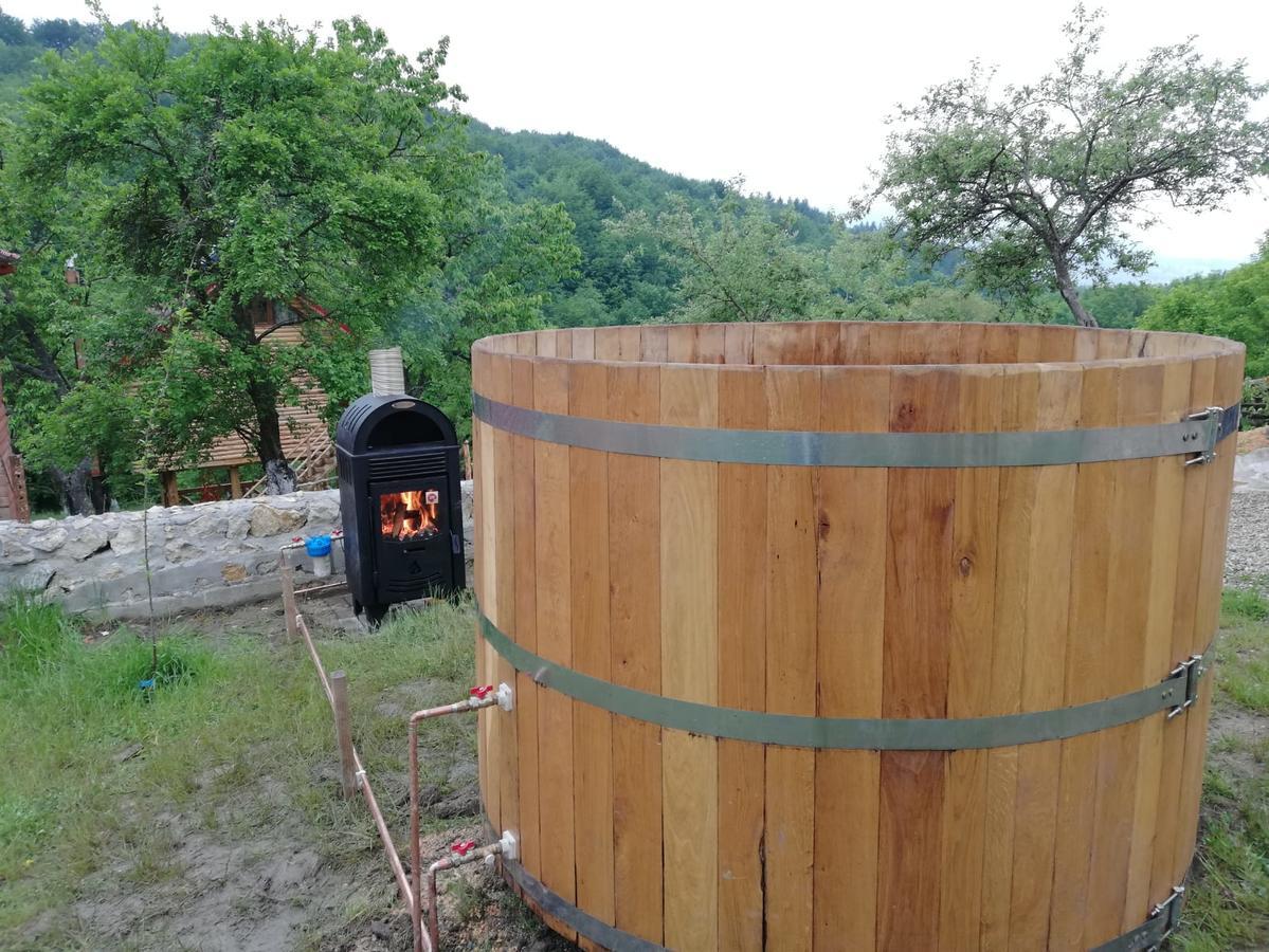 Casa Din Piatra Otel Poiana  Dış mekan fotoğraf